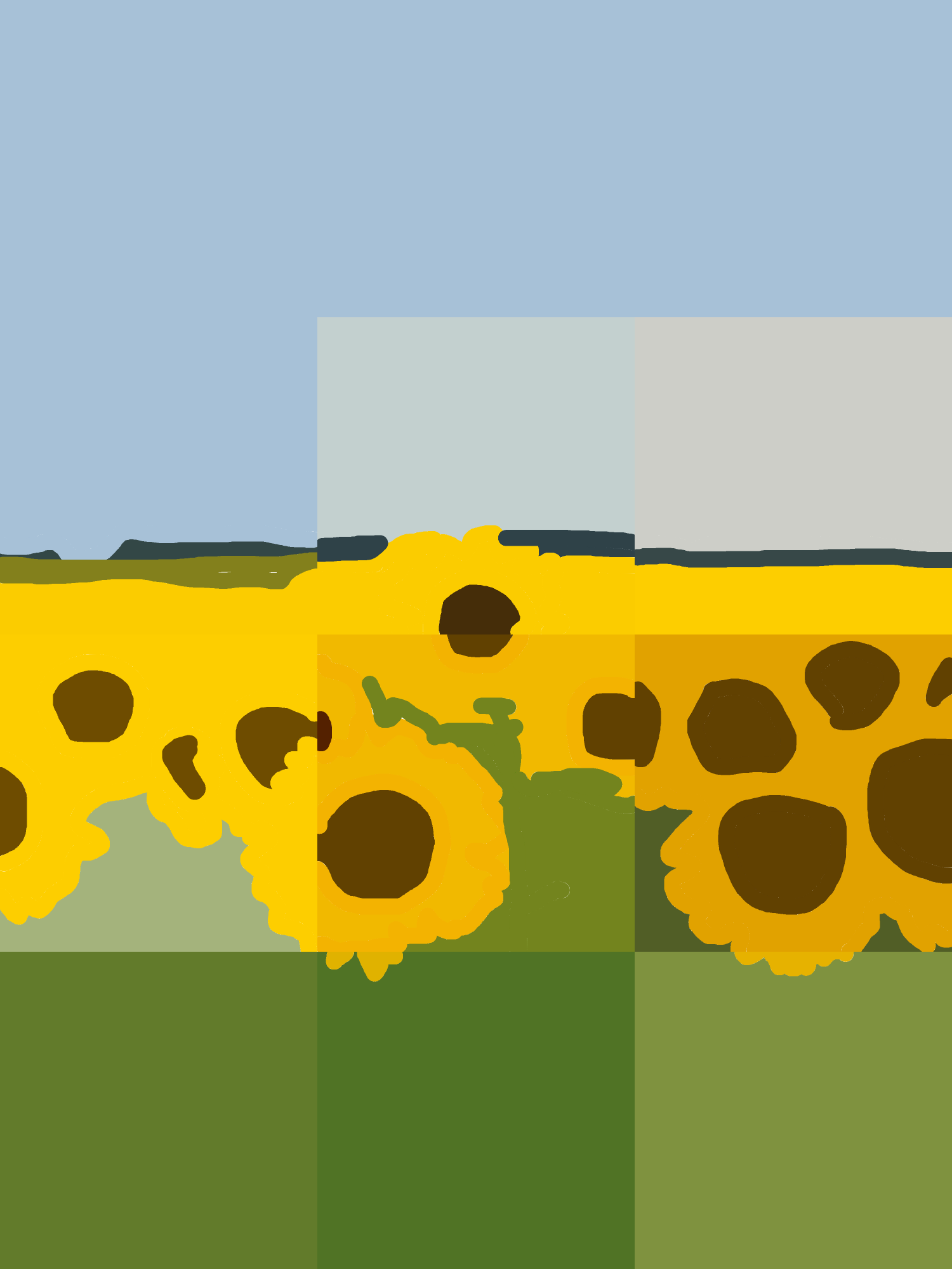 Vibrant Sunflower Panorama