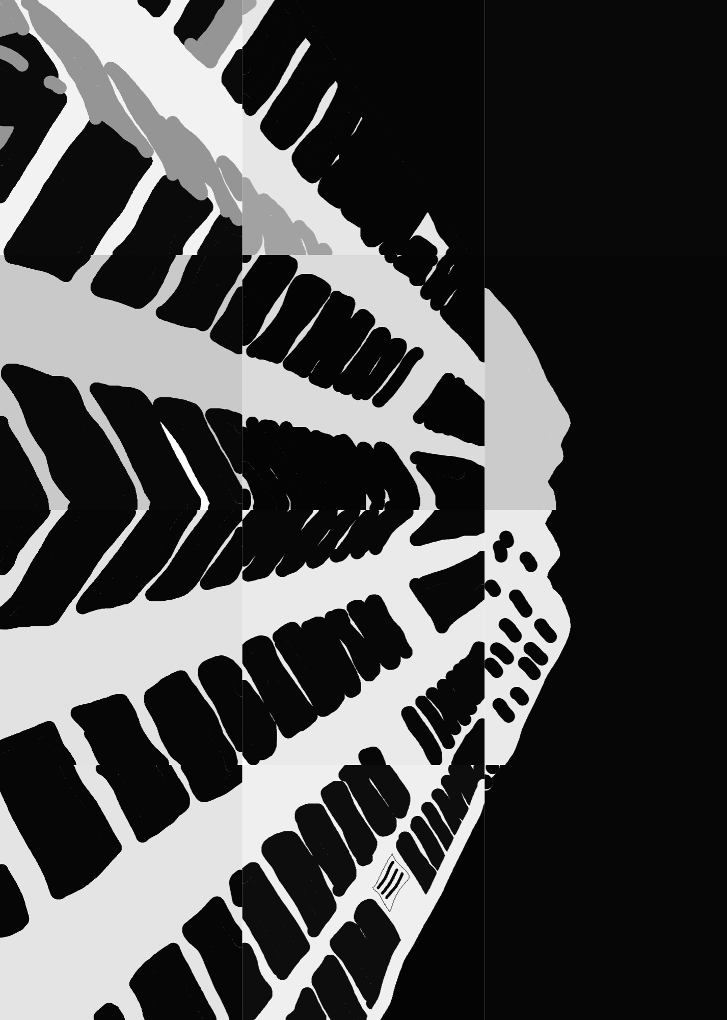 Monochrome Perspective