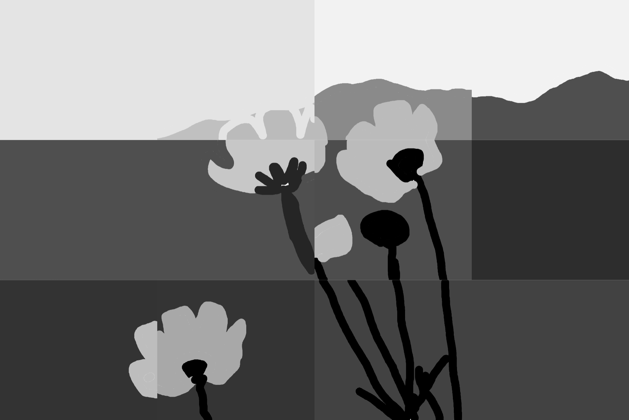 Monochrome Blossoms at Dawn