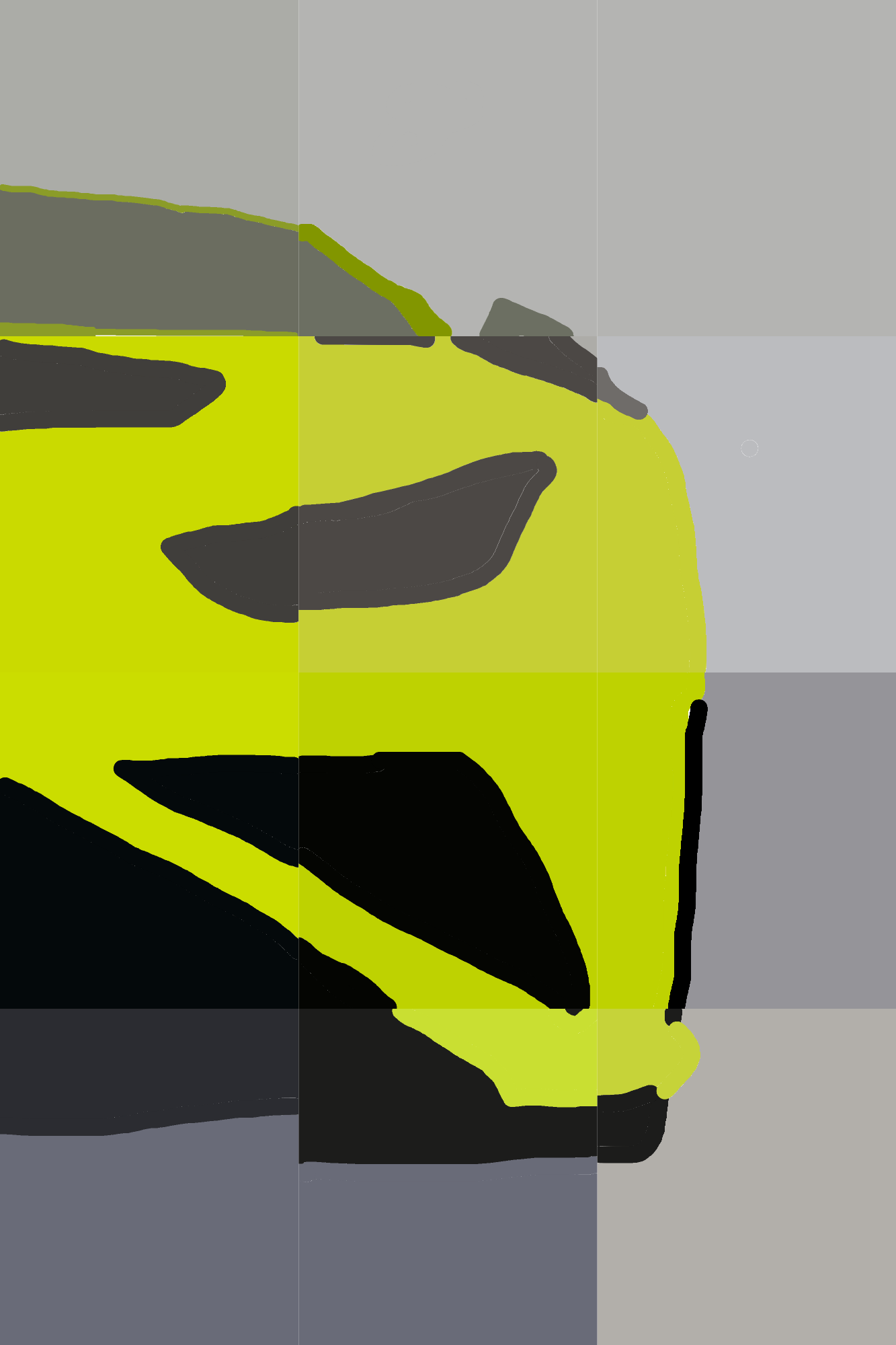 Pixelated Velocity