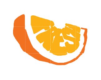 Vibrant Citrus Slice